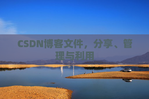 CSDN博客文件，分享、管理与利用